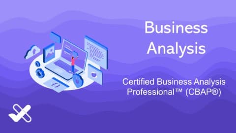 Certified Business Analysis Professional™ (CBAP®)